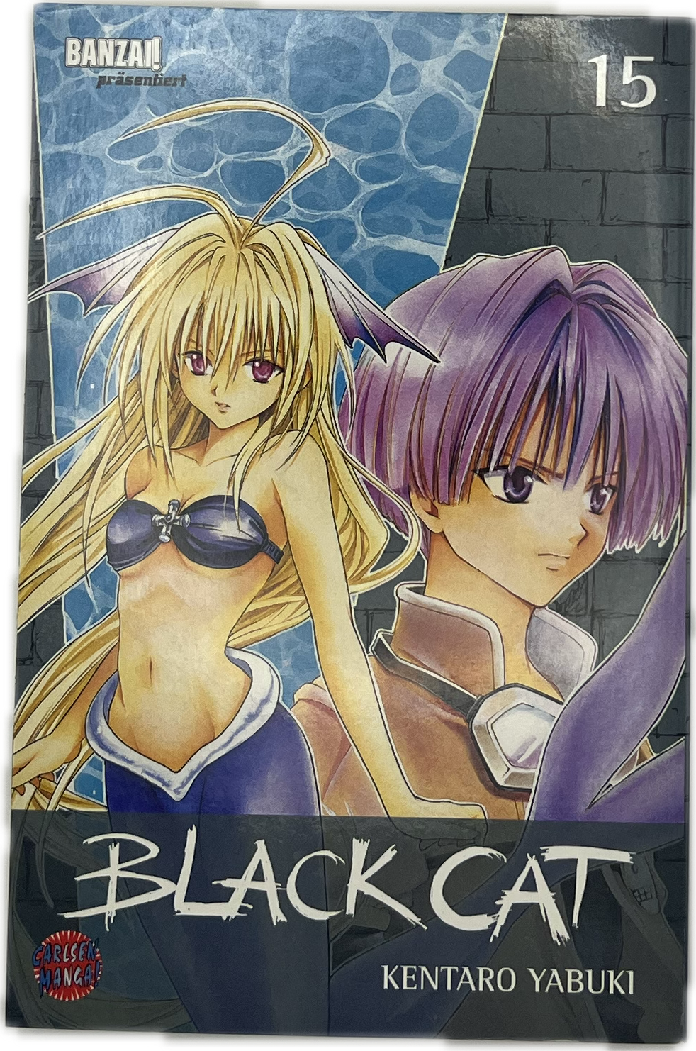 Black Cat 15