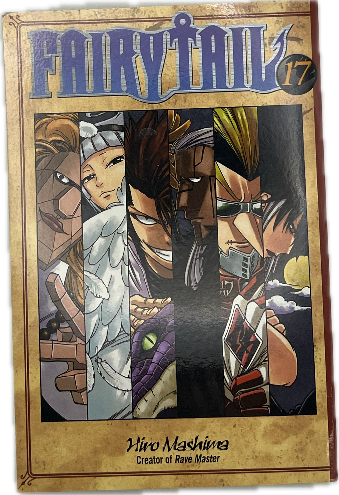 Fairy Tail 17 englisch