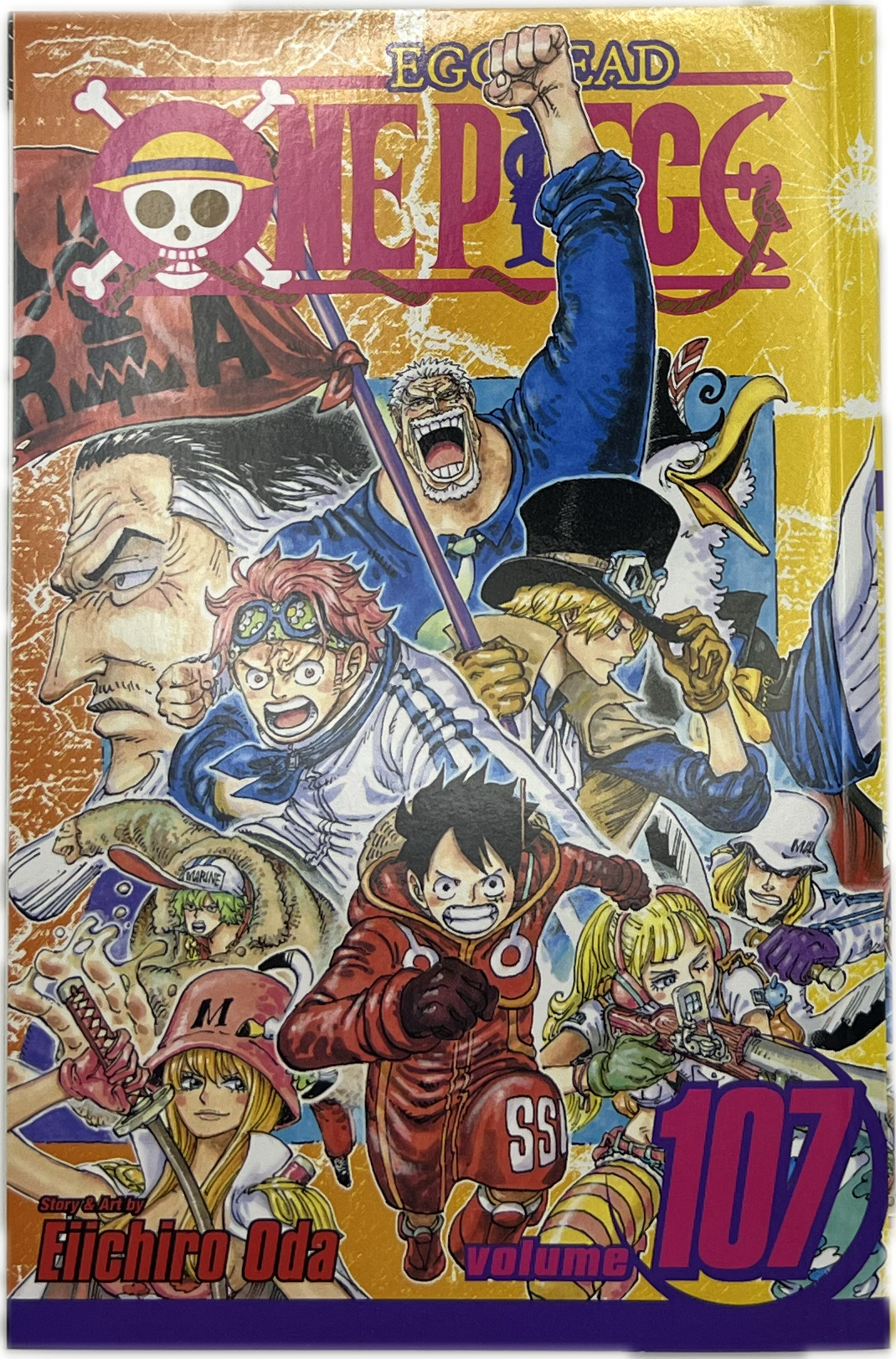 One Piece 107 Englisch