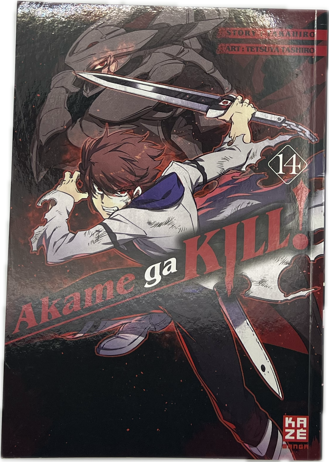 Akame Ga Kill 12