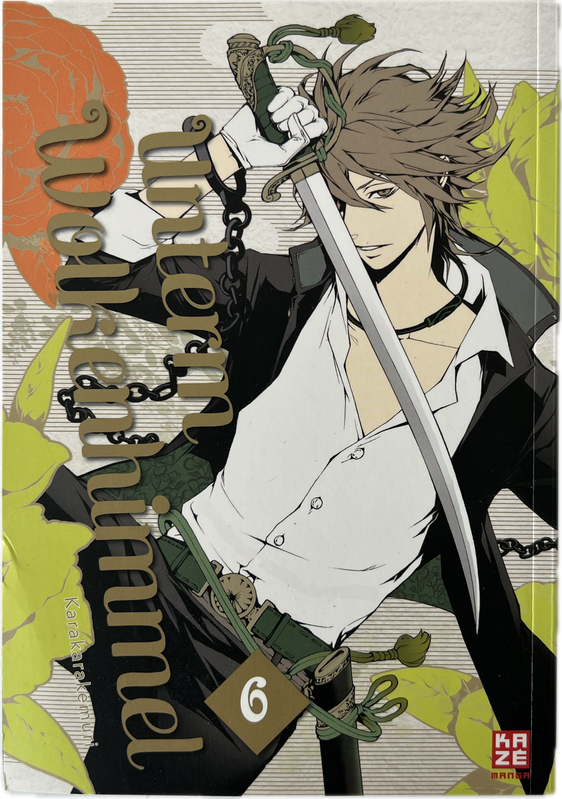 Ungerm Wolkenhimmel 06