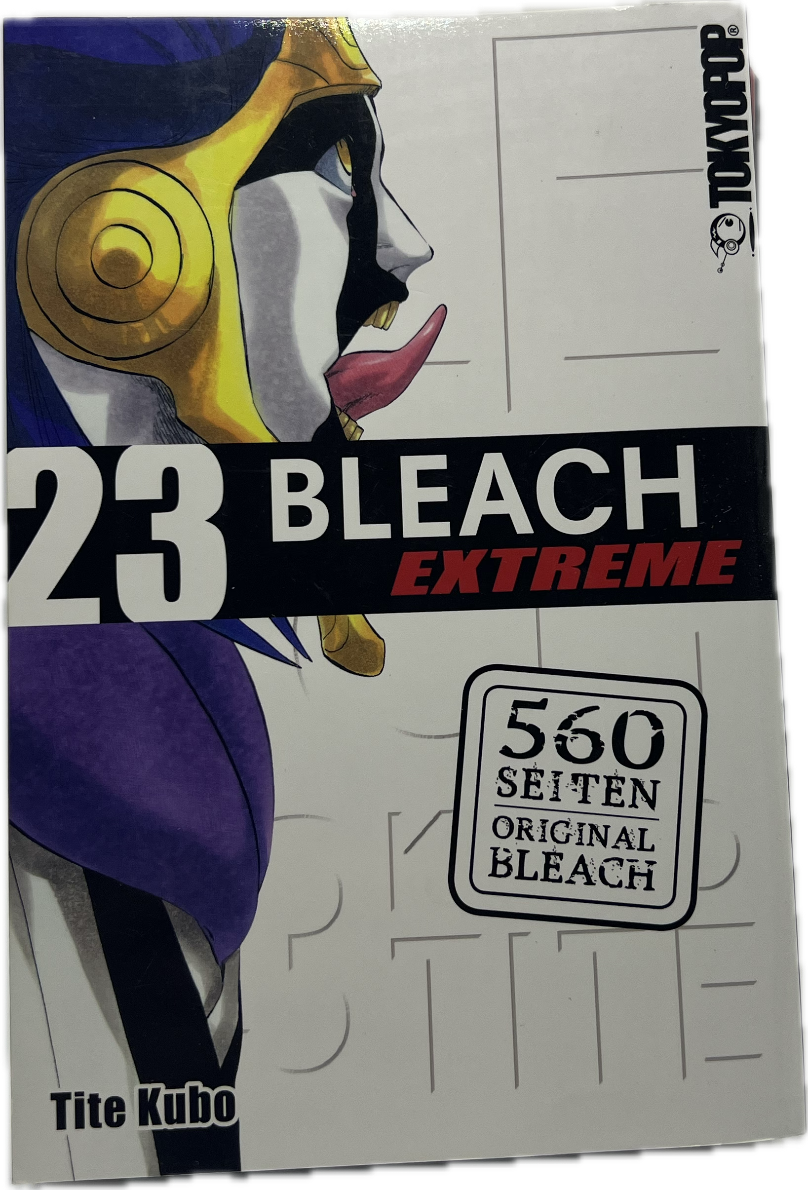 Bleach Extreme 23