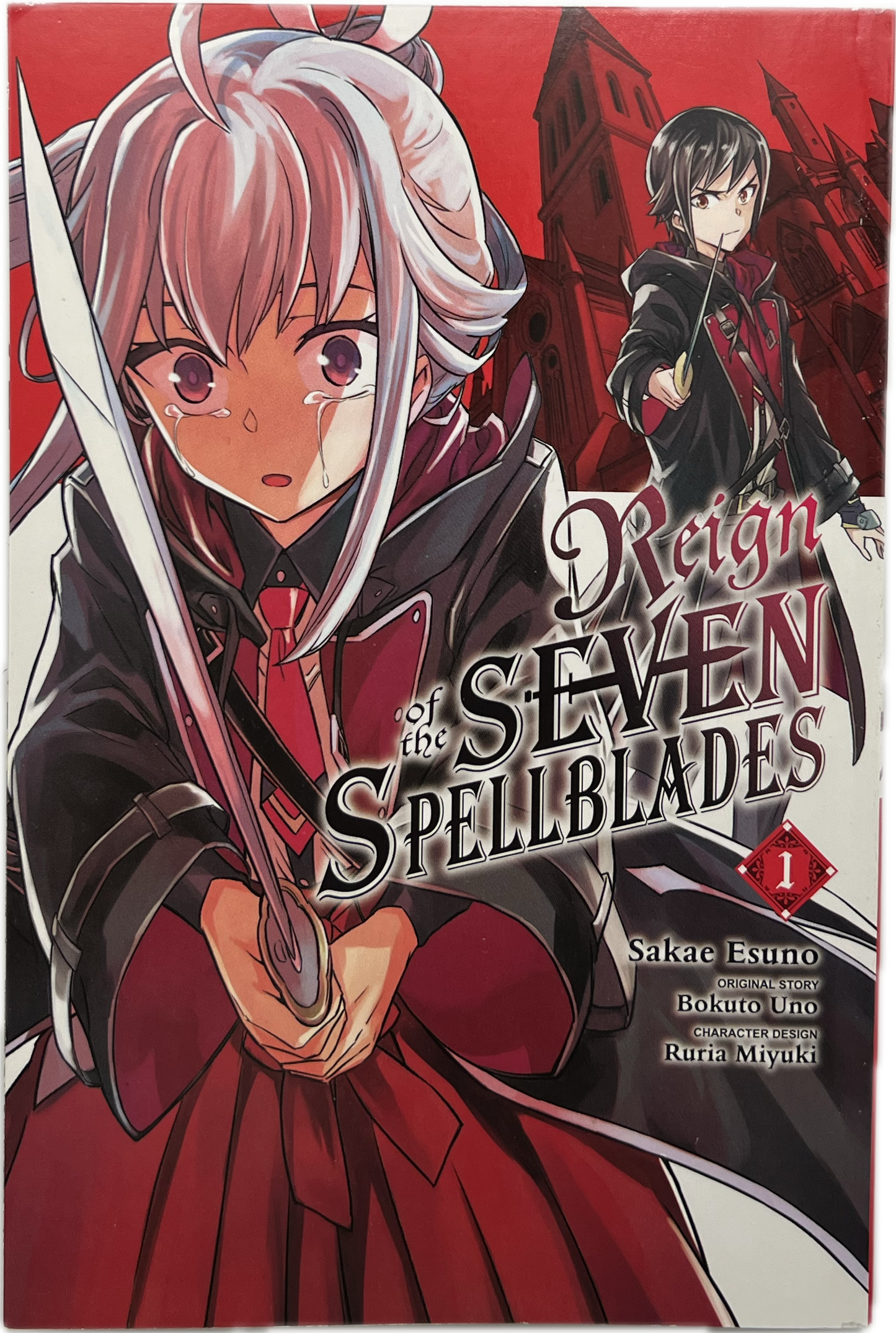 Reign of the Seven Spellblades 01 Englisch