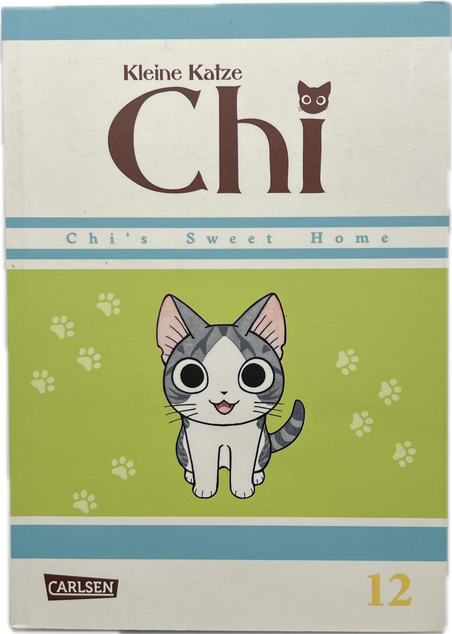 Kleine Katze Chi 12