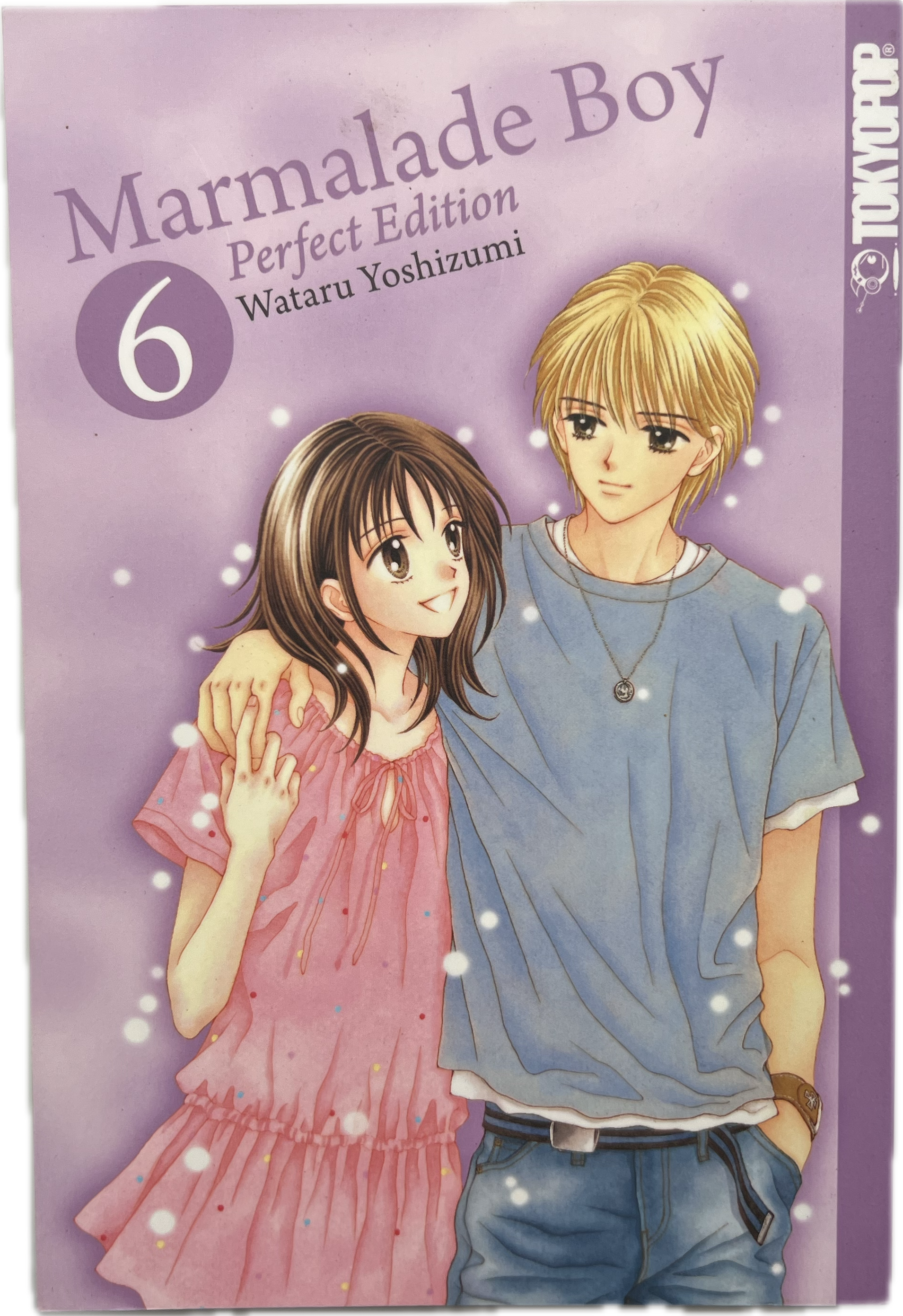 Marmalade Boy Perfect Edition 06