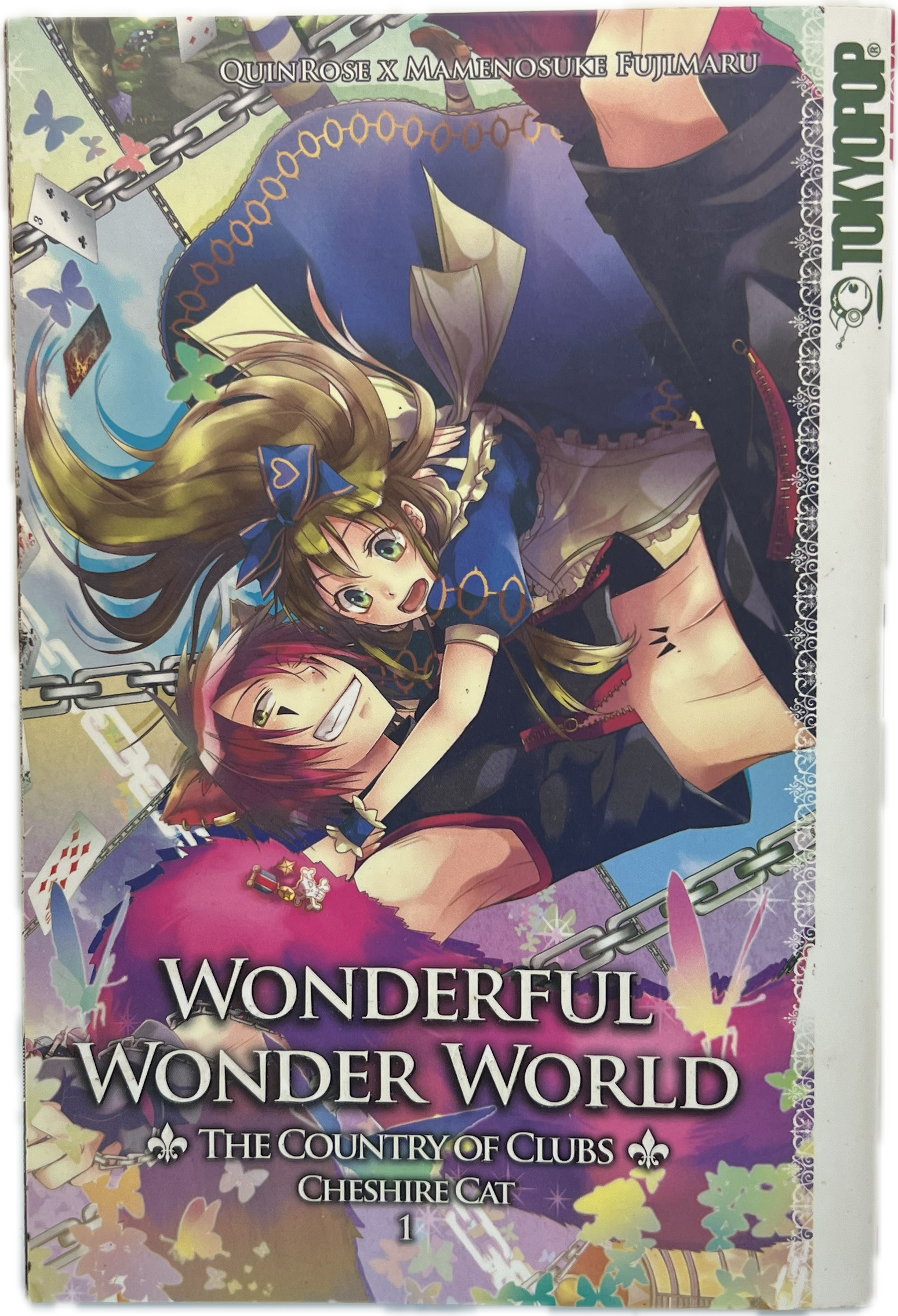 Wonderful Wonder World - The Country of Clubs Cheshire Cat 01