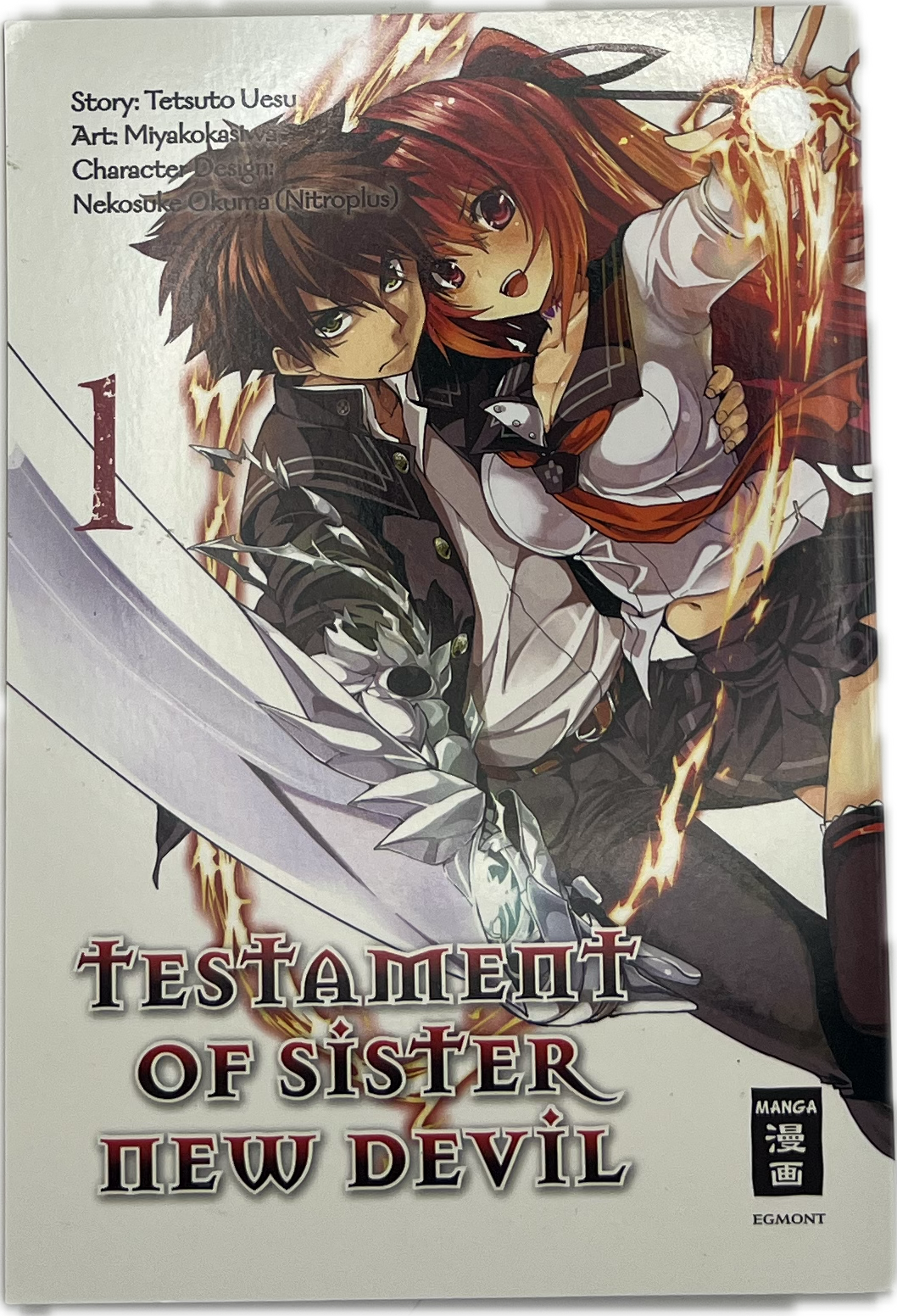 Testament of Sister New Devil 01