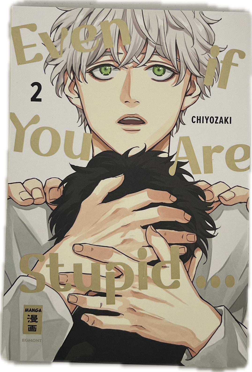 Even if you are Stupid... 02 | Manayga
