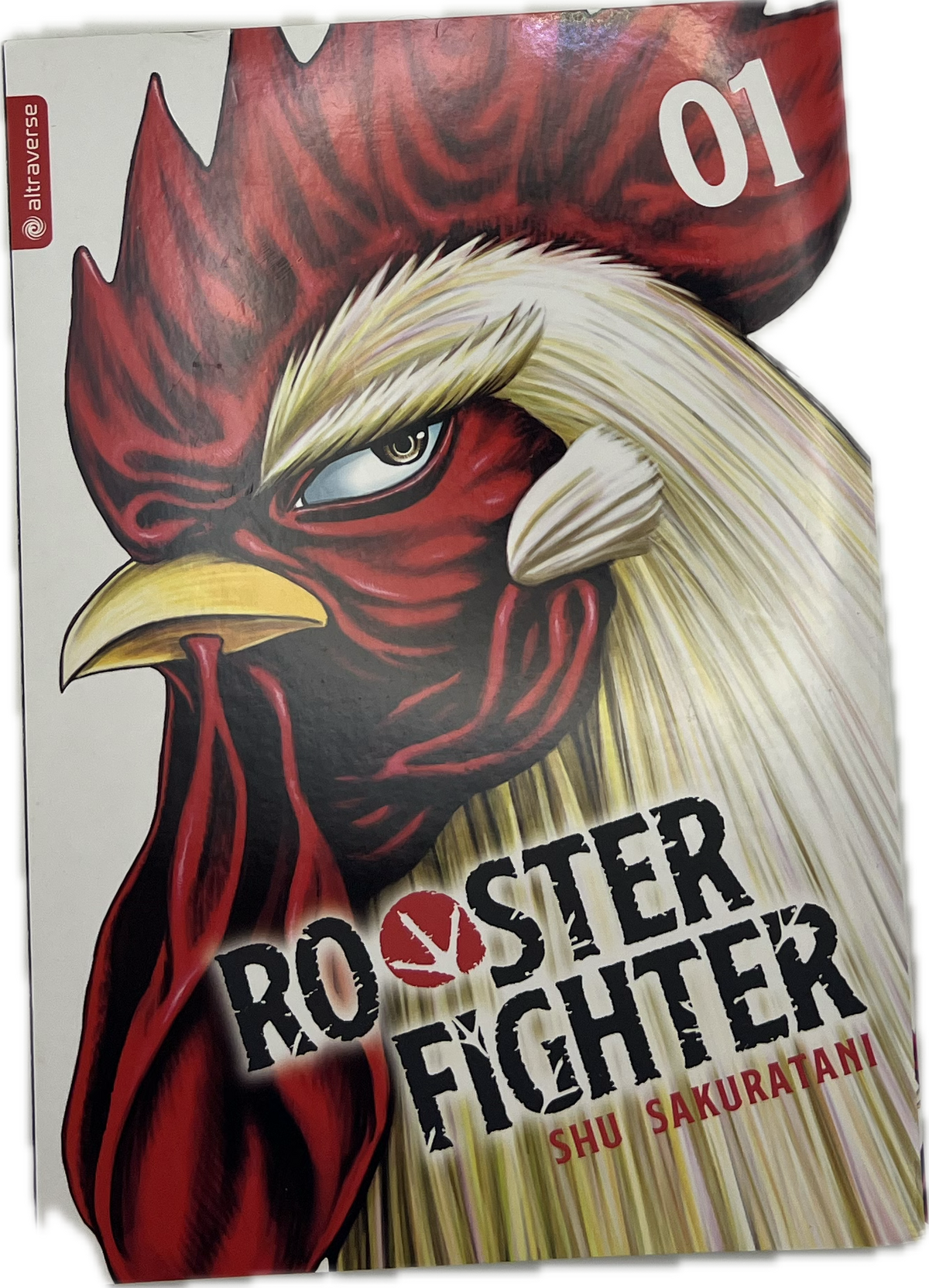 Rooster Fighter 01