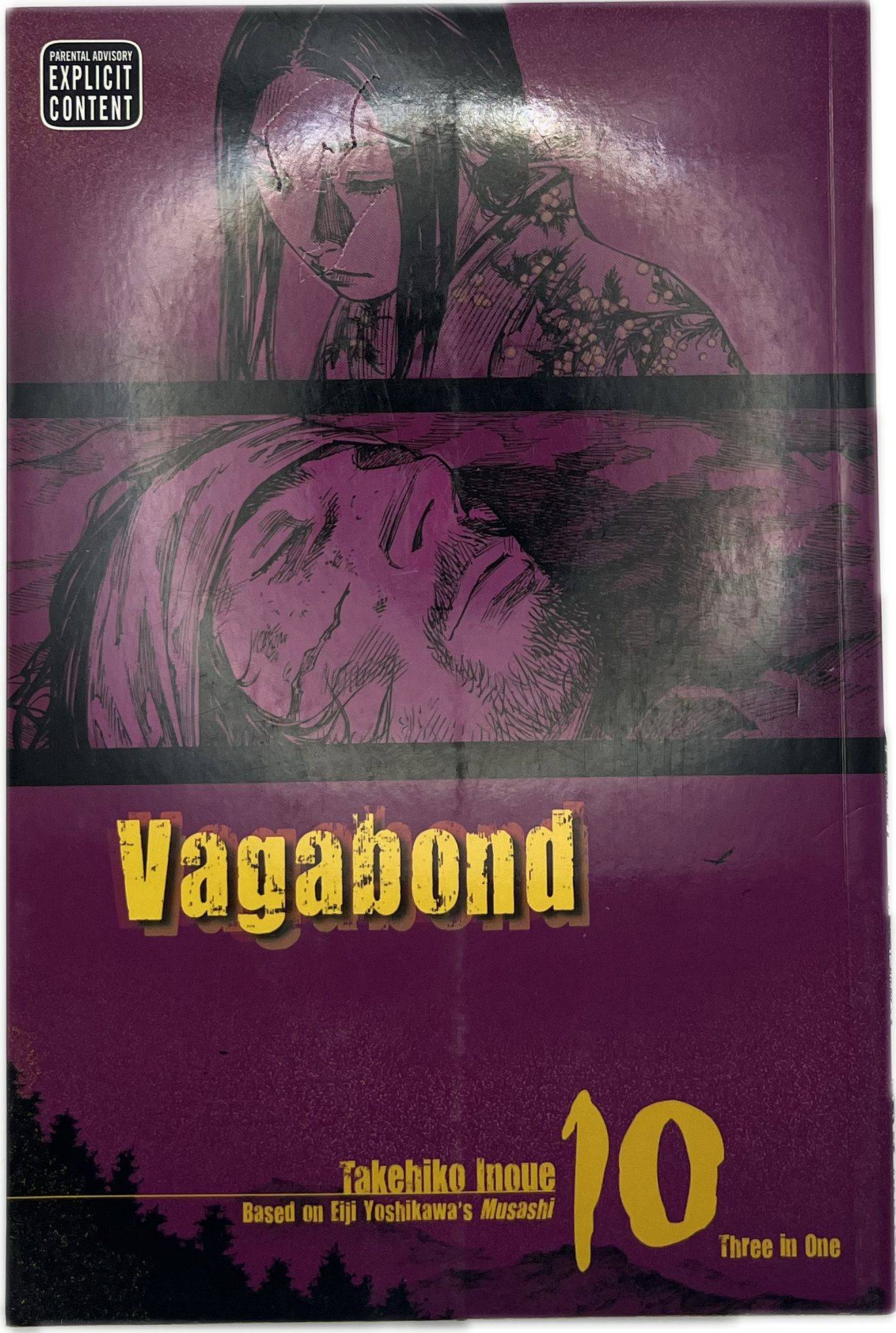 Vagabond 10 VIZBIG Englisch