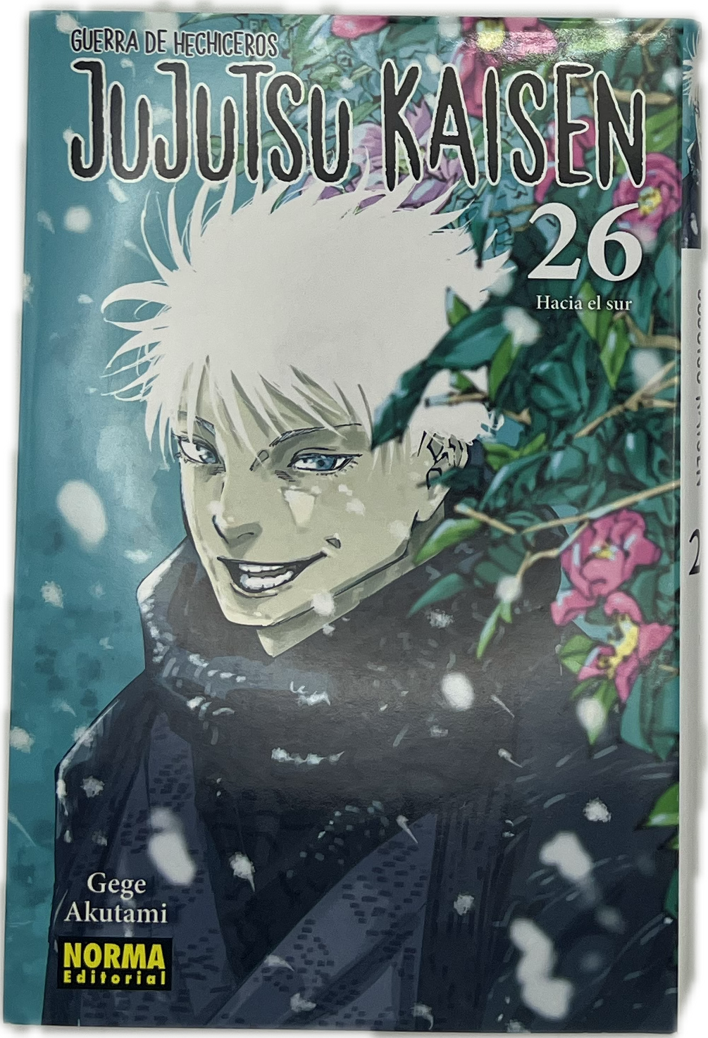 Jujutsu Kaisen 26 Spanisch | Manayga