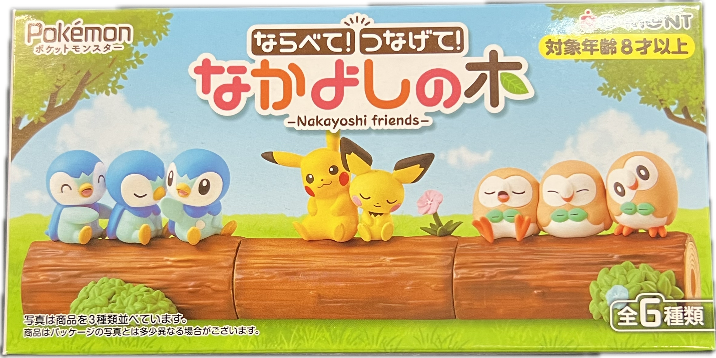 Pokemon Nakayoshi Friends Blind Box