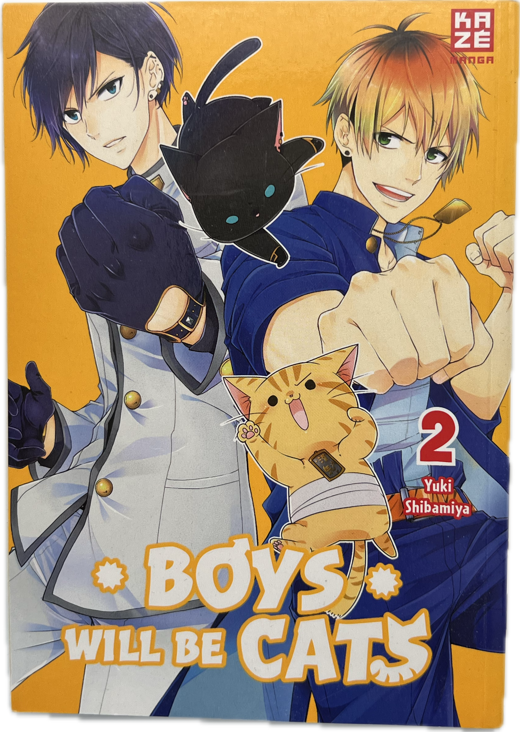 Boys will be Cats 02