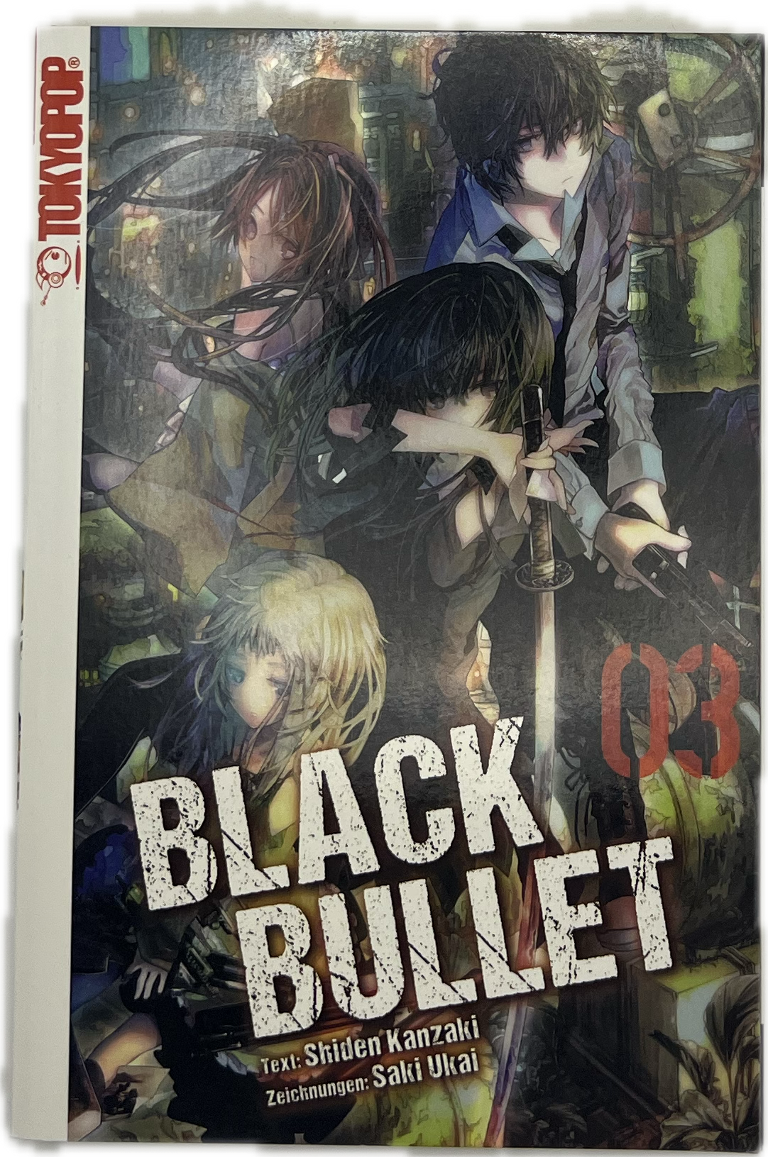 Black Bullet Novel 03