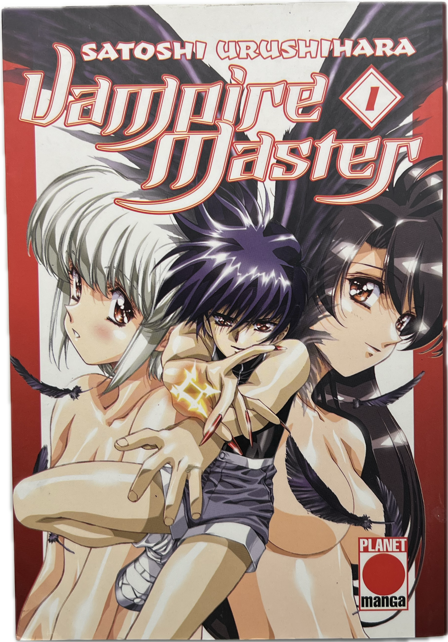 Vampire Master 01