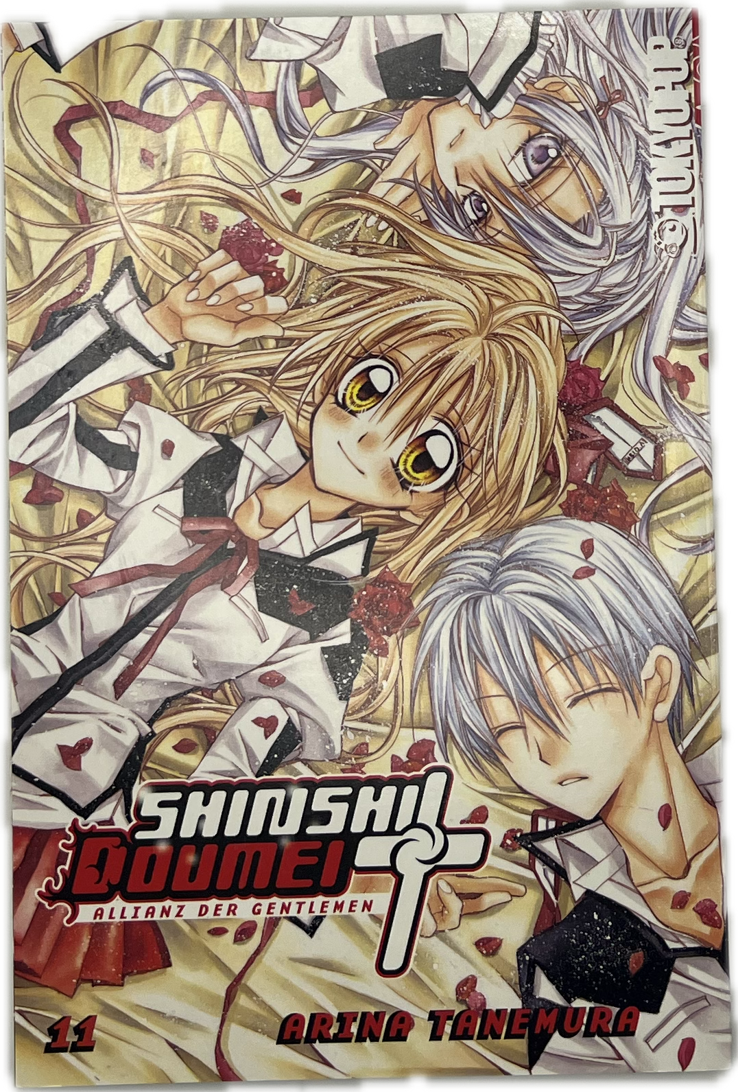 Shinshi Doumei 11