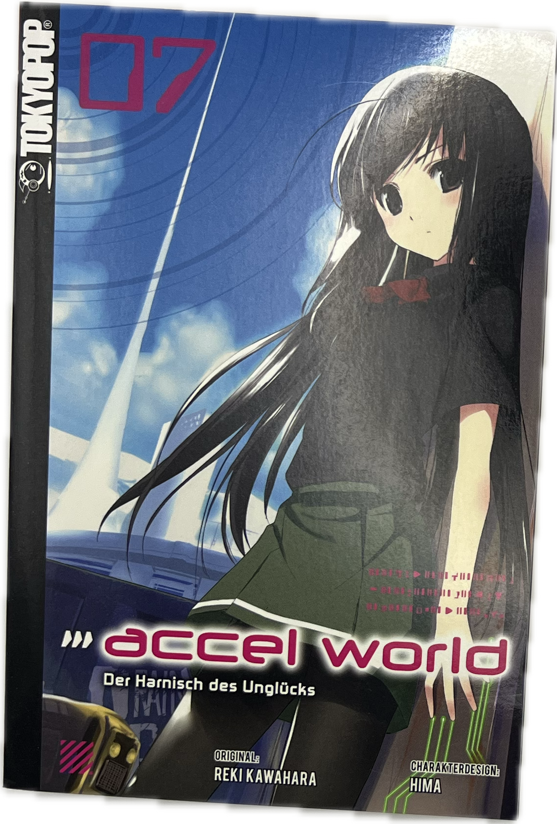 Accel World Novel 07