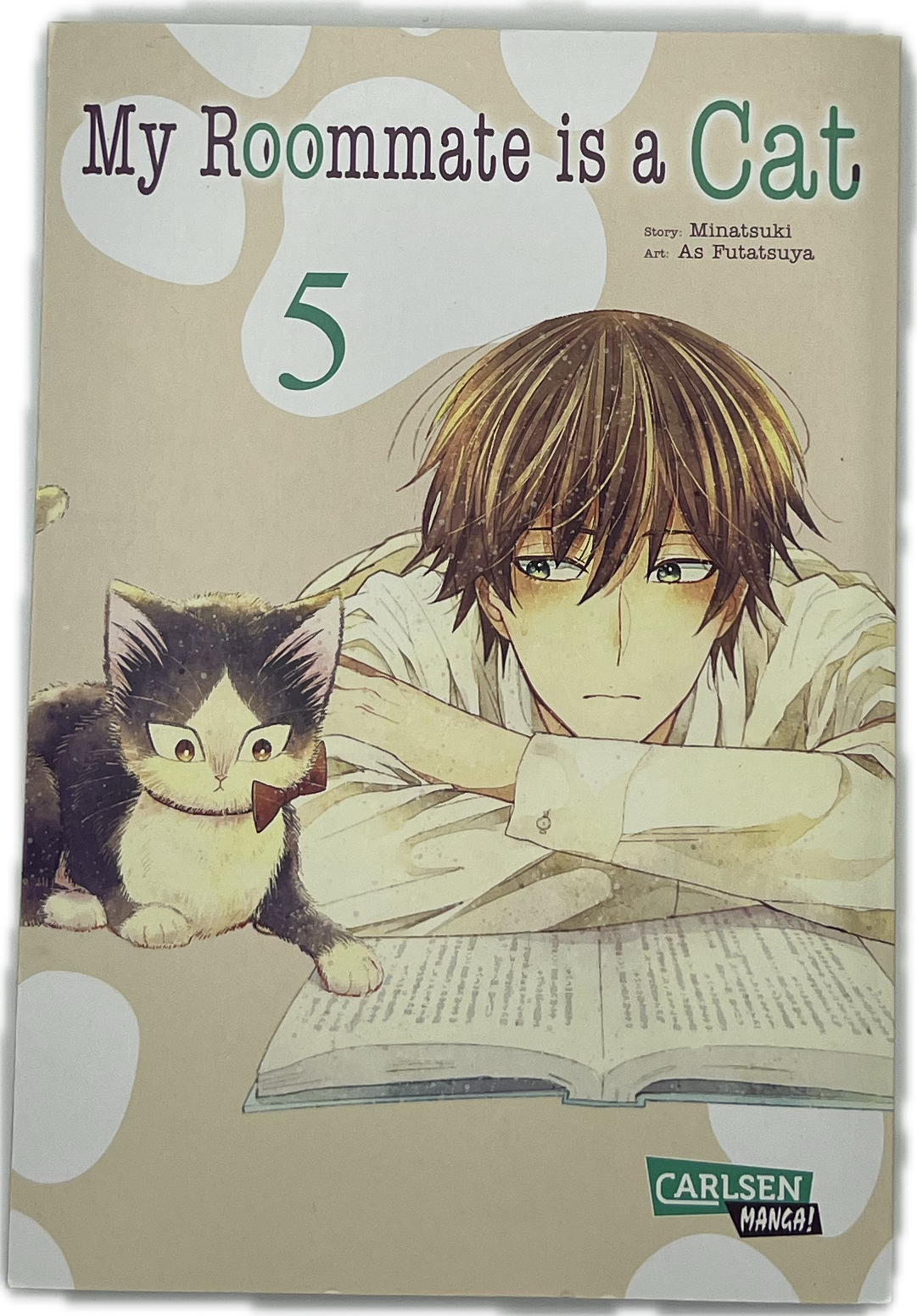 My Roommate is a cat 05
