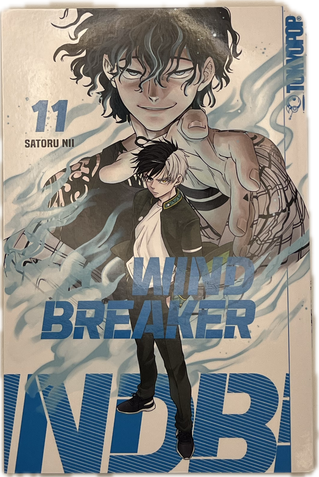 Wind Breaker 11