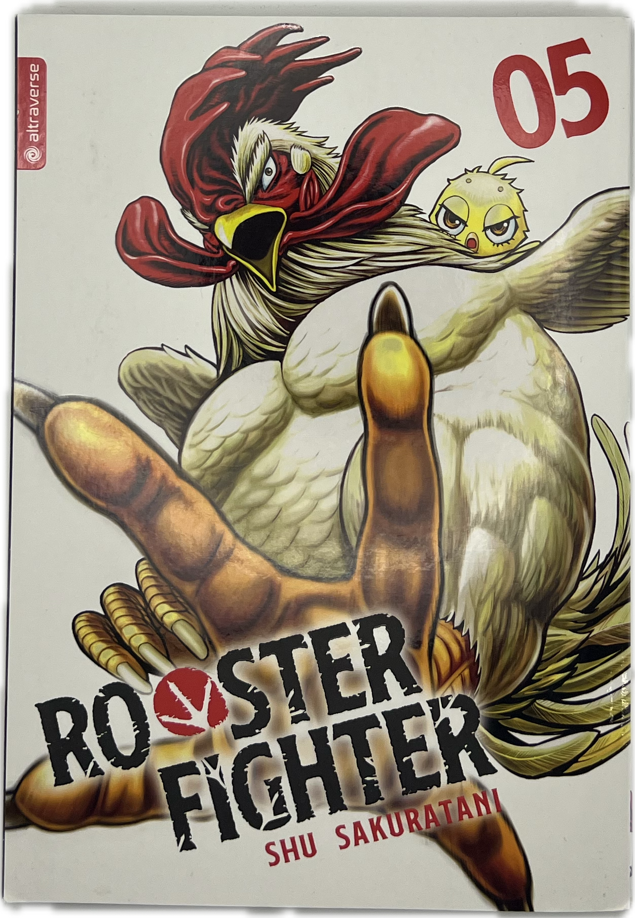 Rooster Fighter 05