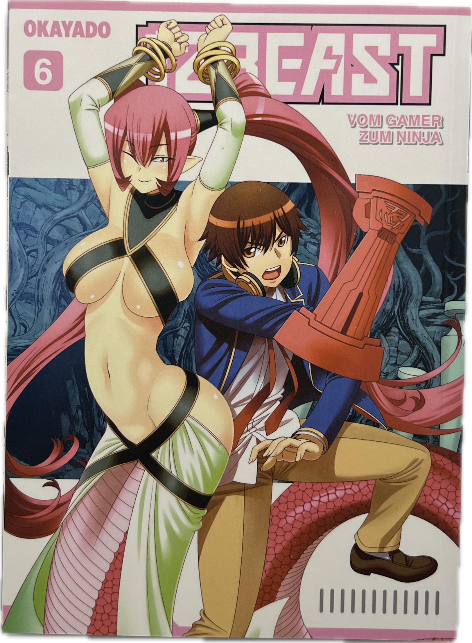 12 Beast von Gamer zum Ninja 06