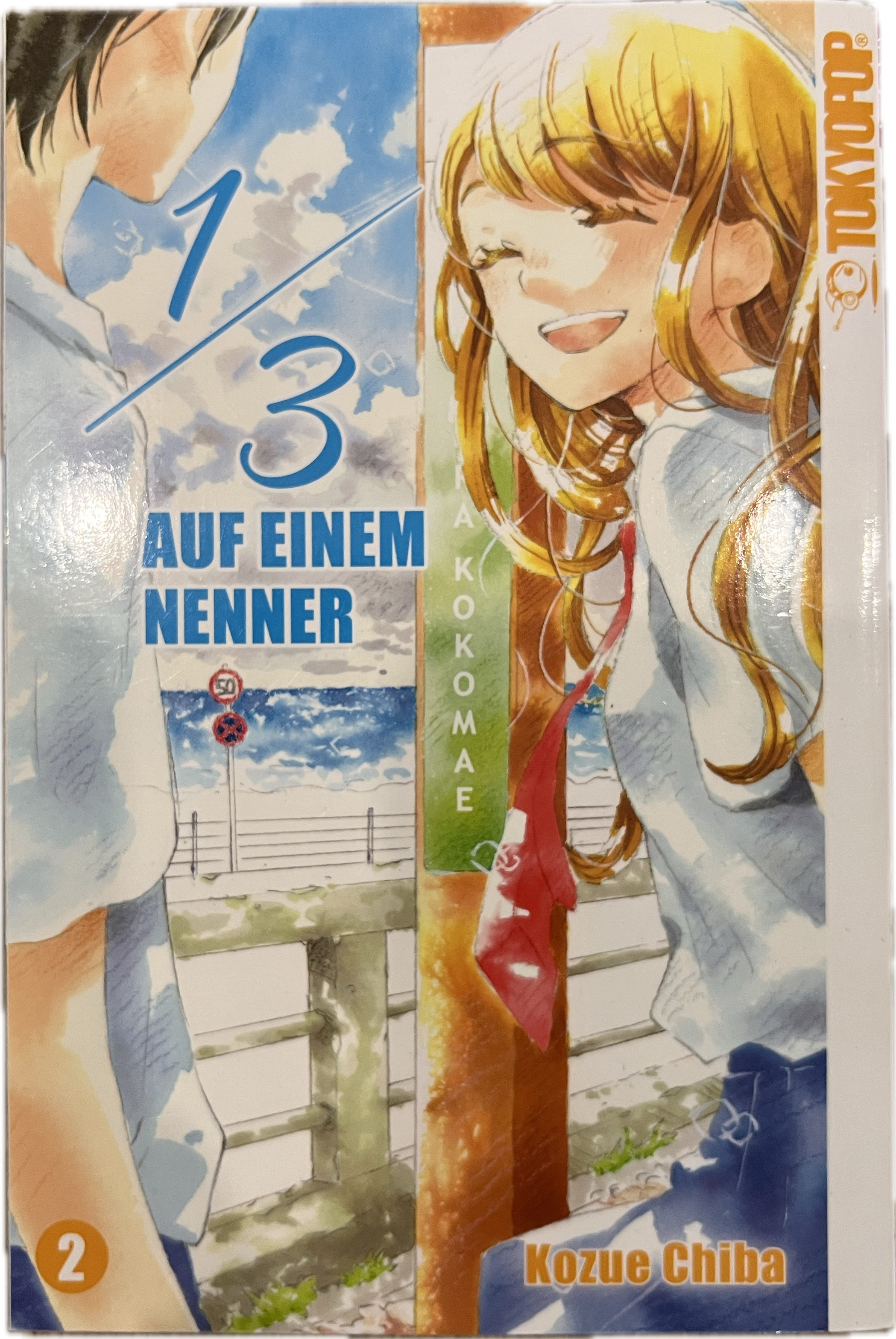 1/3 auf einem Nenner 02