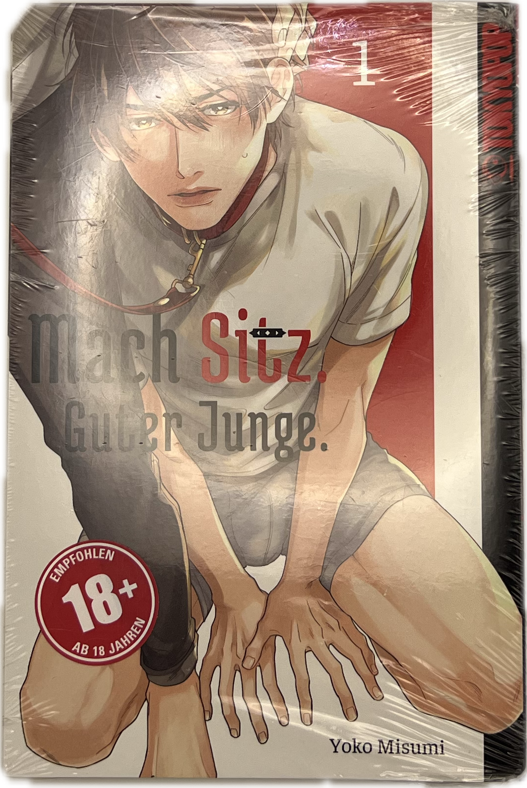 Mach Sitz, guter Junge! 01