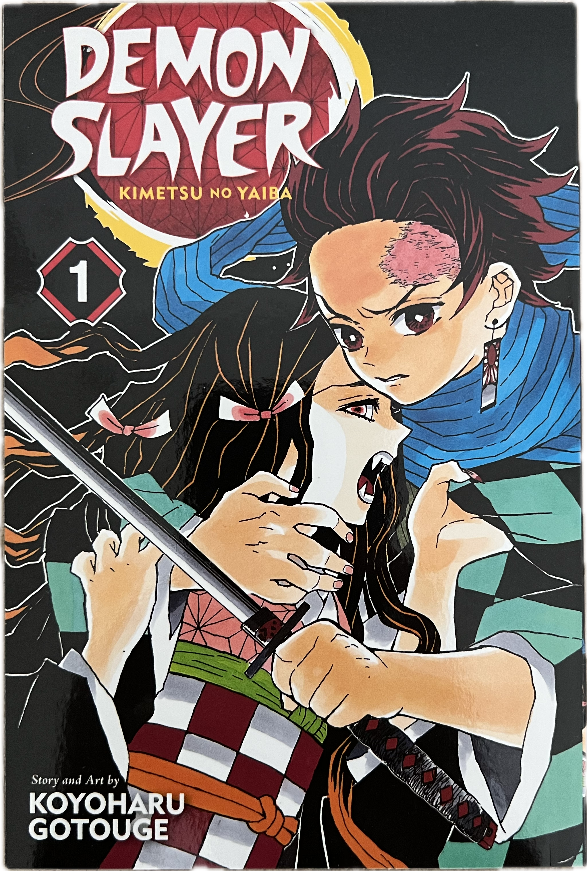 Demon Slayer 01 Englisch