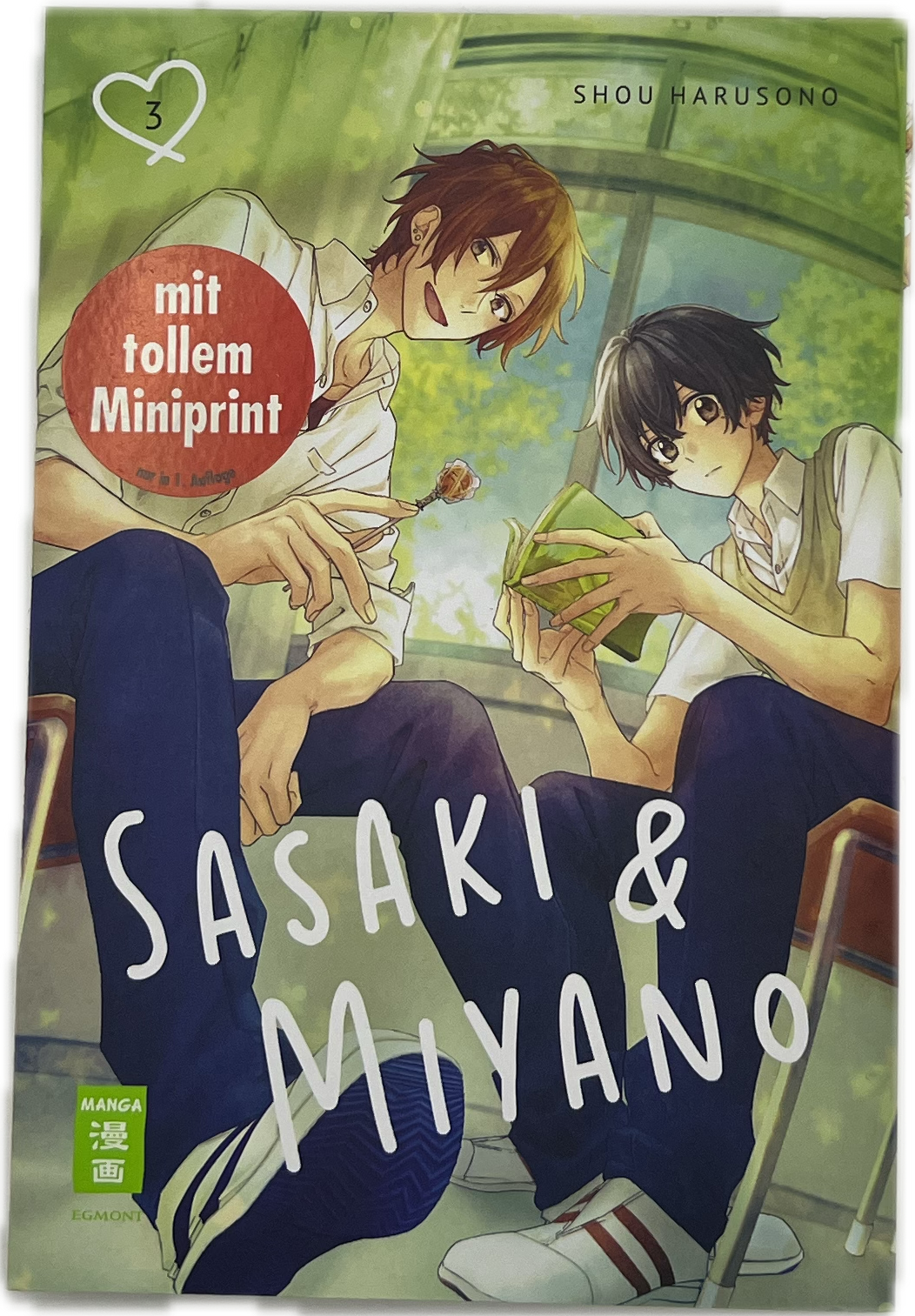 Sasaki & Miyano 03