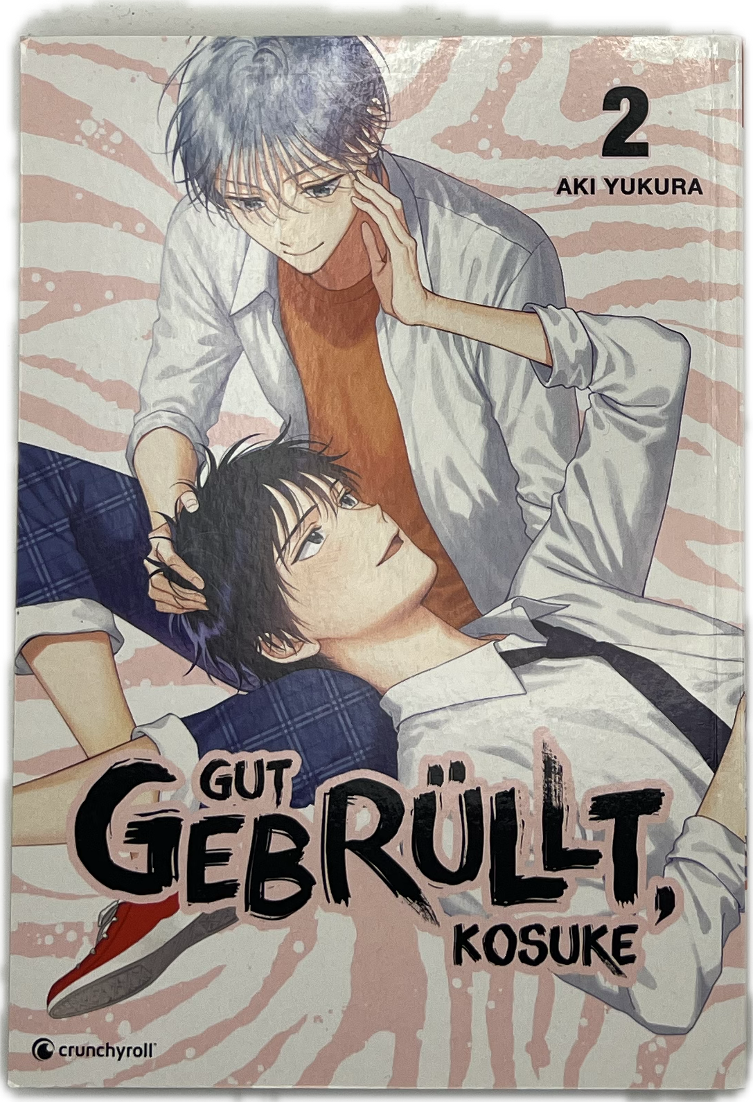 Gut gebrüllt, Kosuke 02