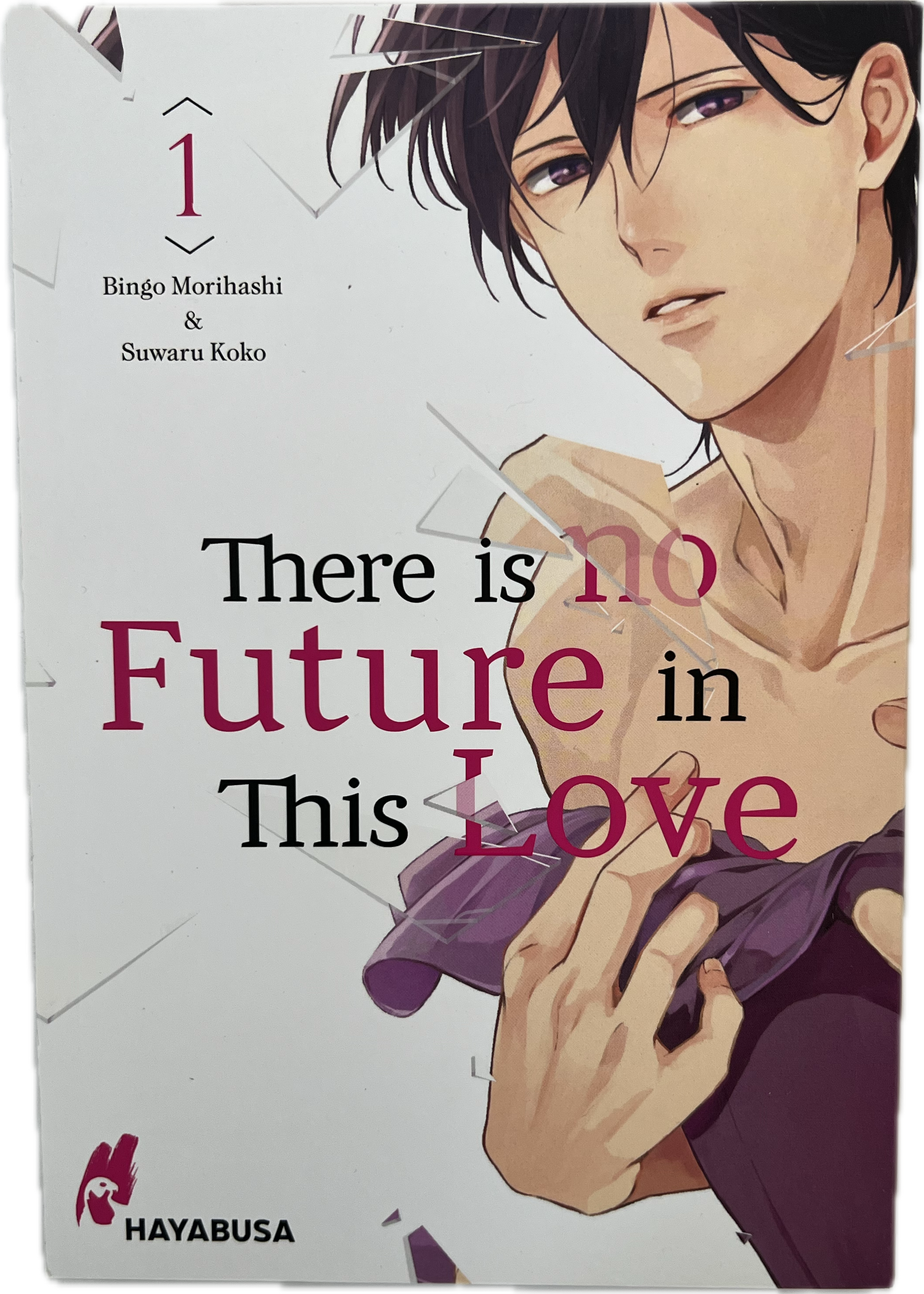 There is no Future in this Love 01