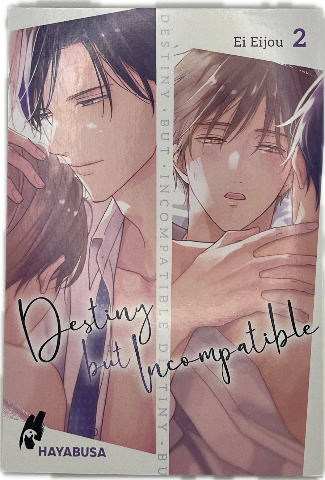 Destiny but Imcompatible 02 | Manayga