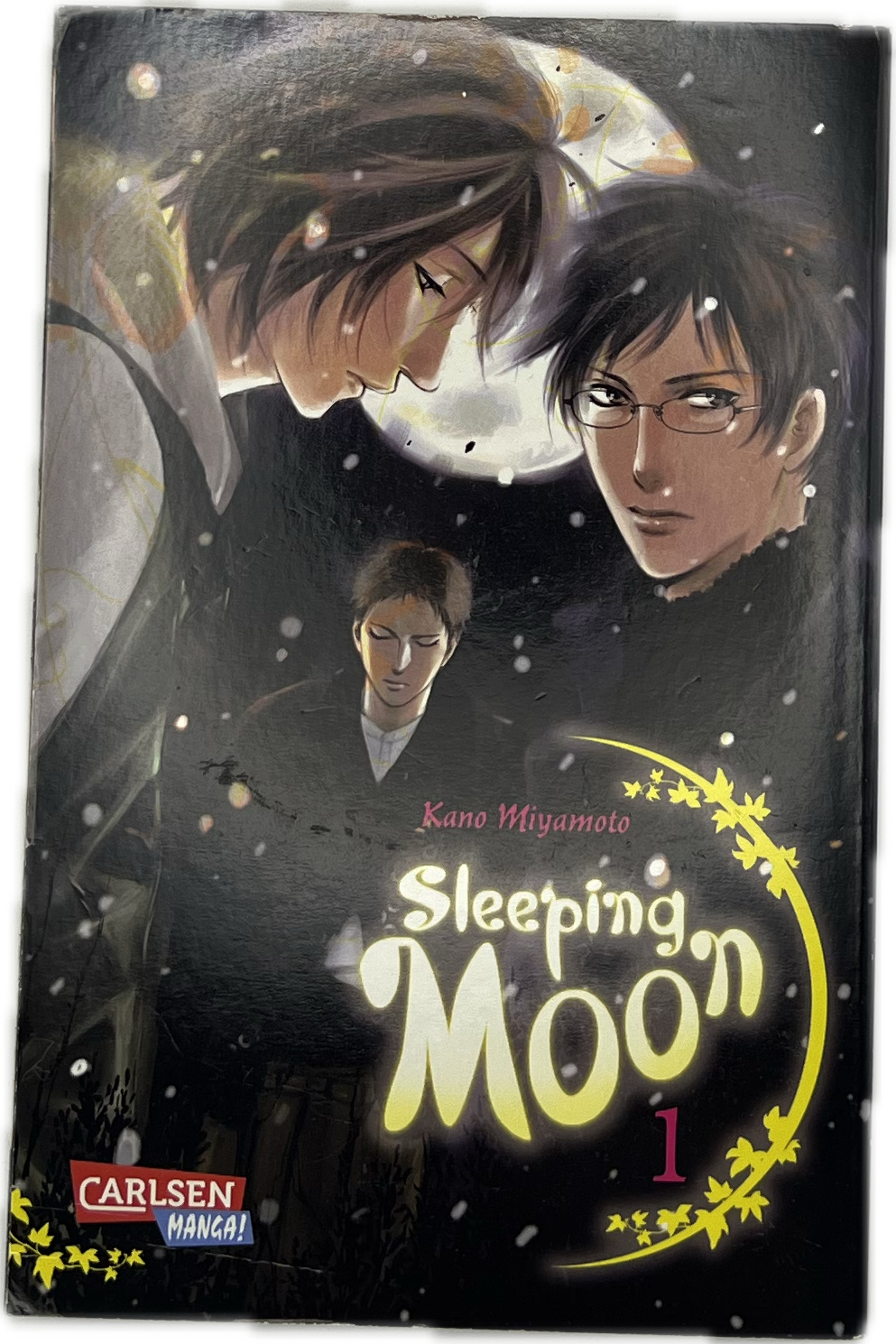 Sleeping Moon 01