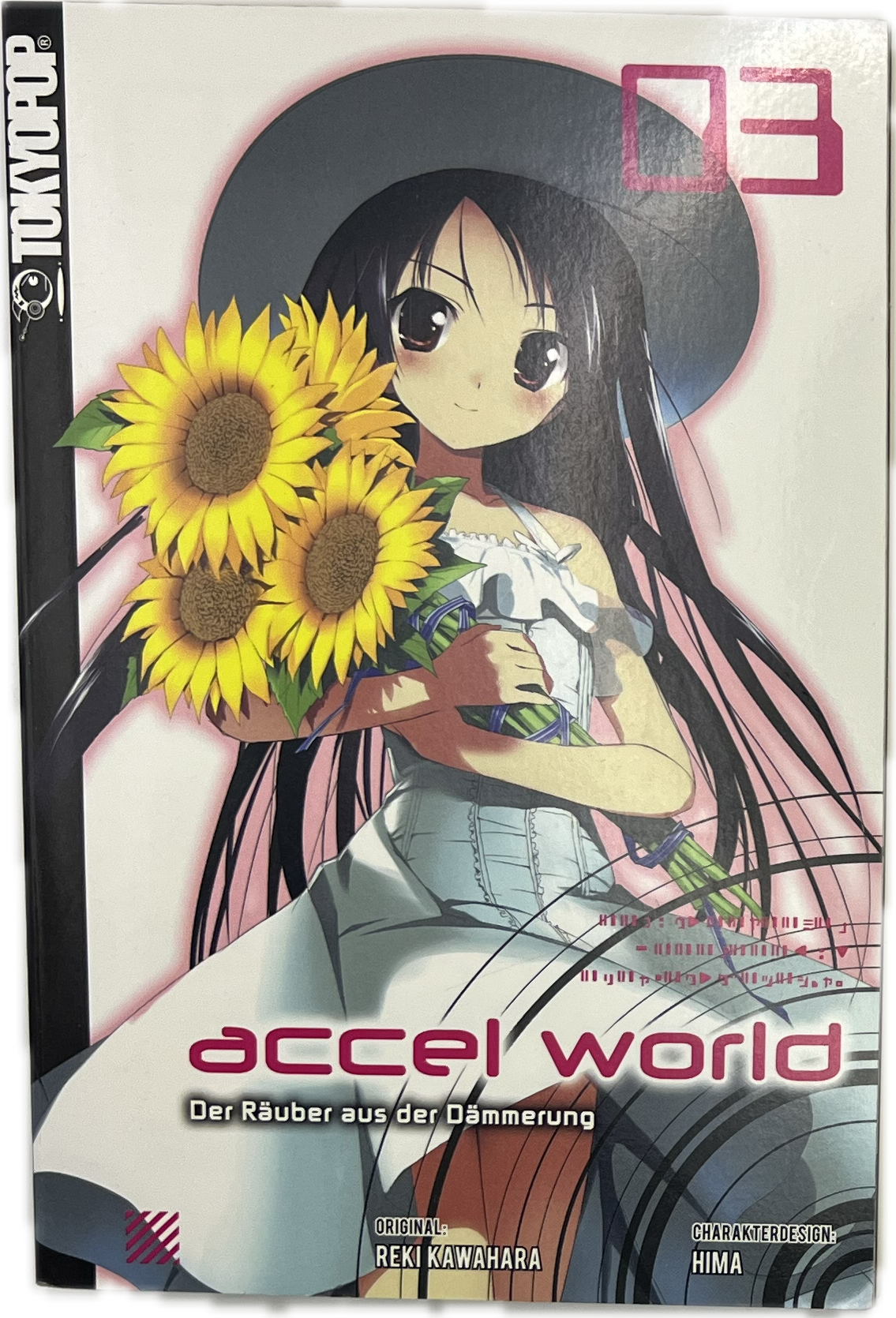 Accel World Novel 03