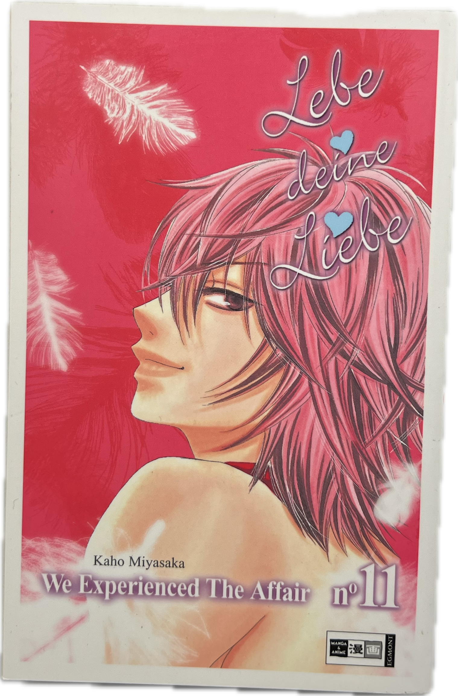 Lebe deine Liebe 11 | Manayga