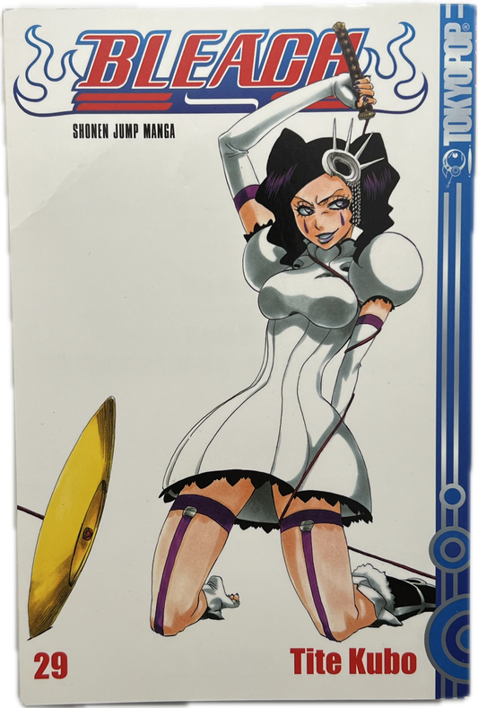 Bleach 29 | Manayga