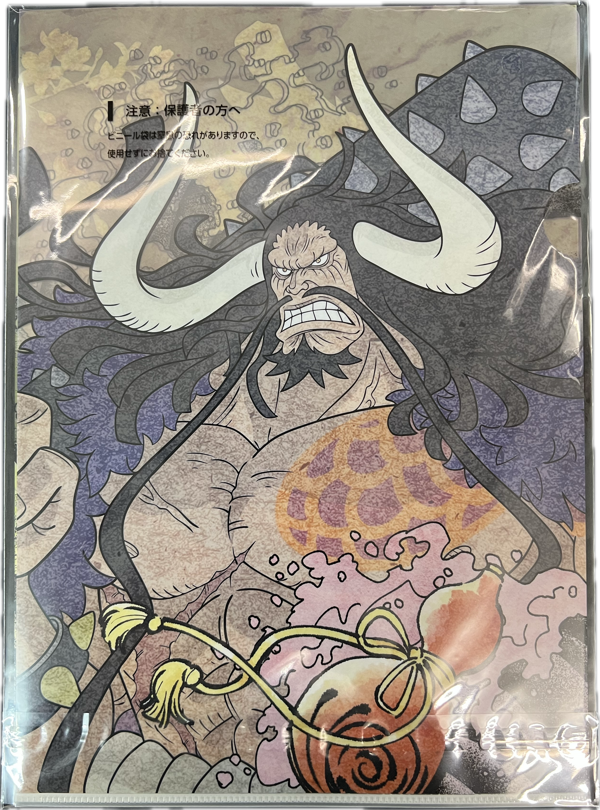 One Piece – Ichiban Kuji Clear File Set – Monkey D. Luffy & Kaido