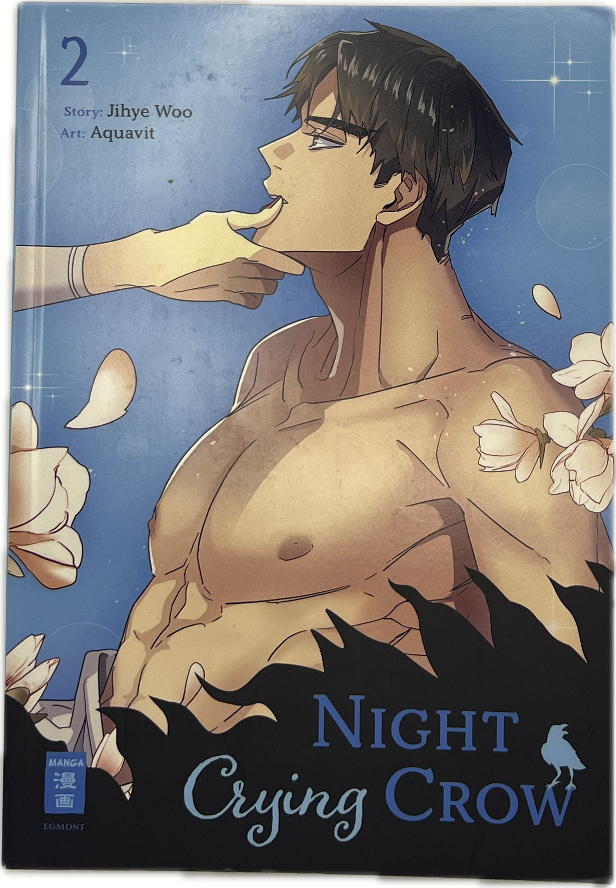 Night Crying Crow 02 | Manayga