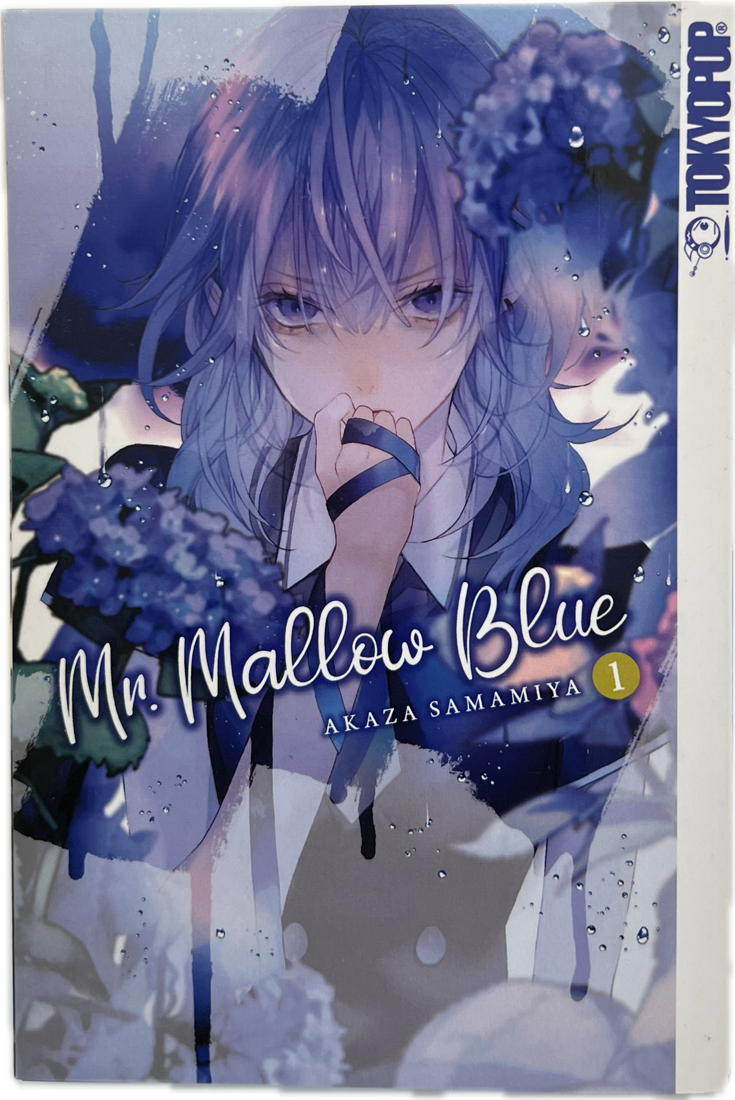 Mr. Mallow Blue 01