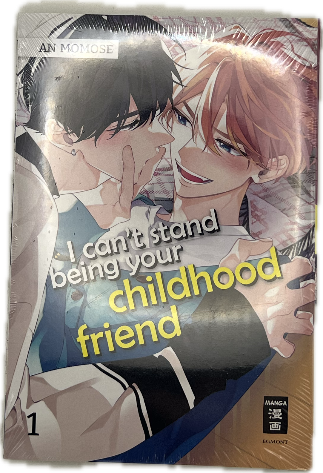 I Can't Stand Being Your Childhood Friend 01