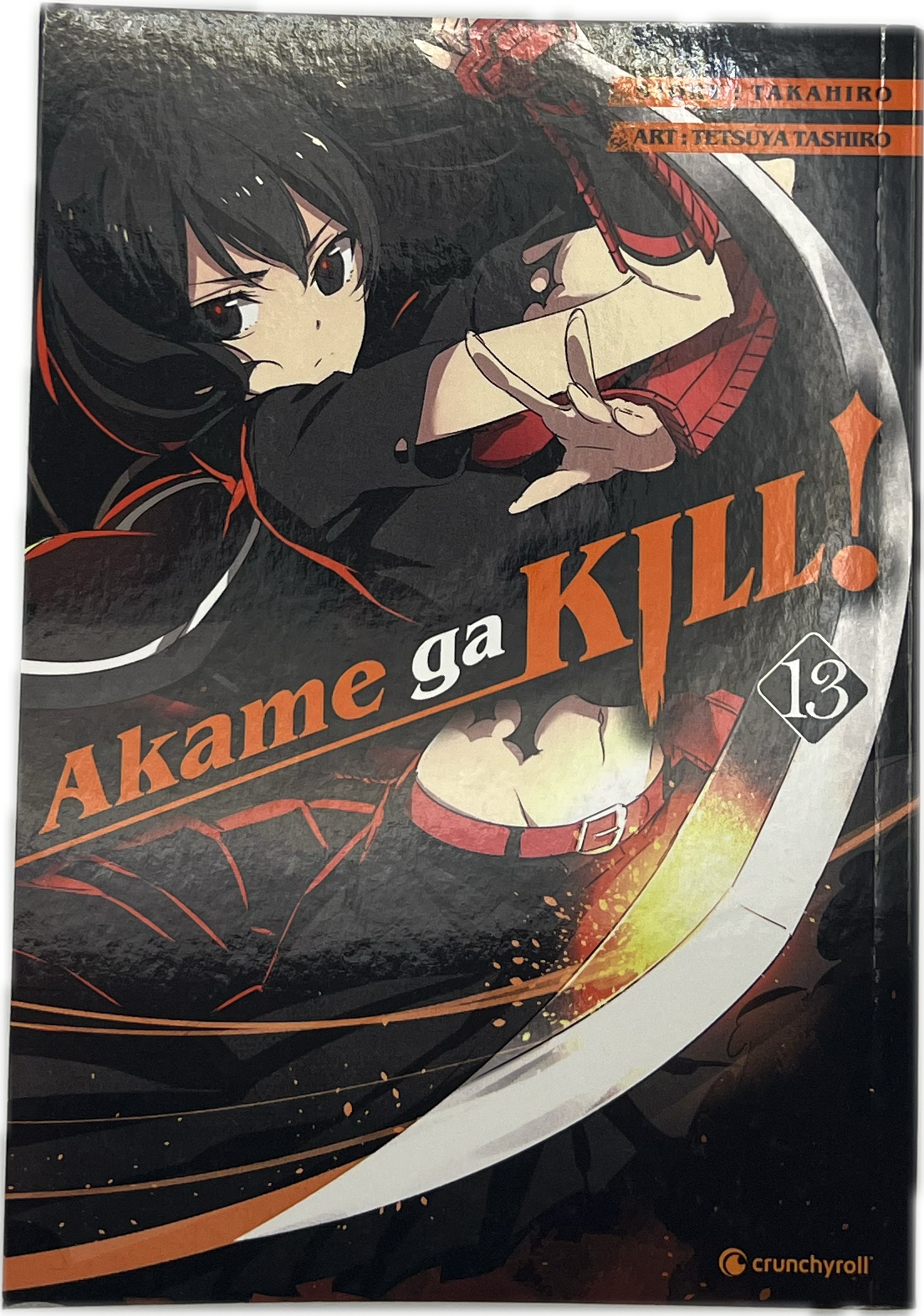 Akame Ga Kill 13