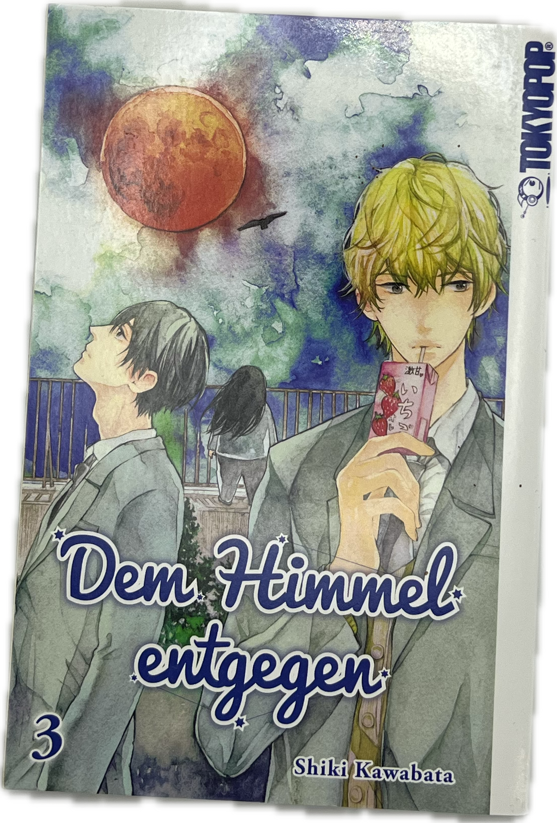 Dem Himmel entgegen 03