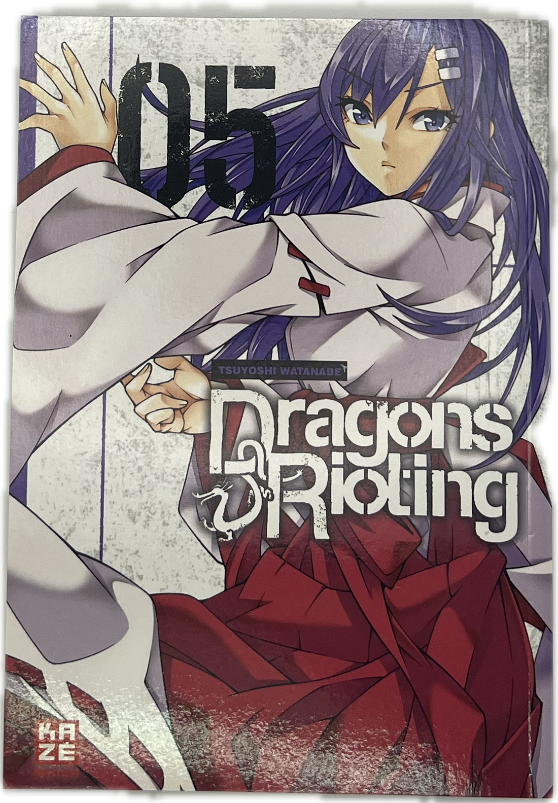 Dragons Rioting 05