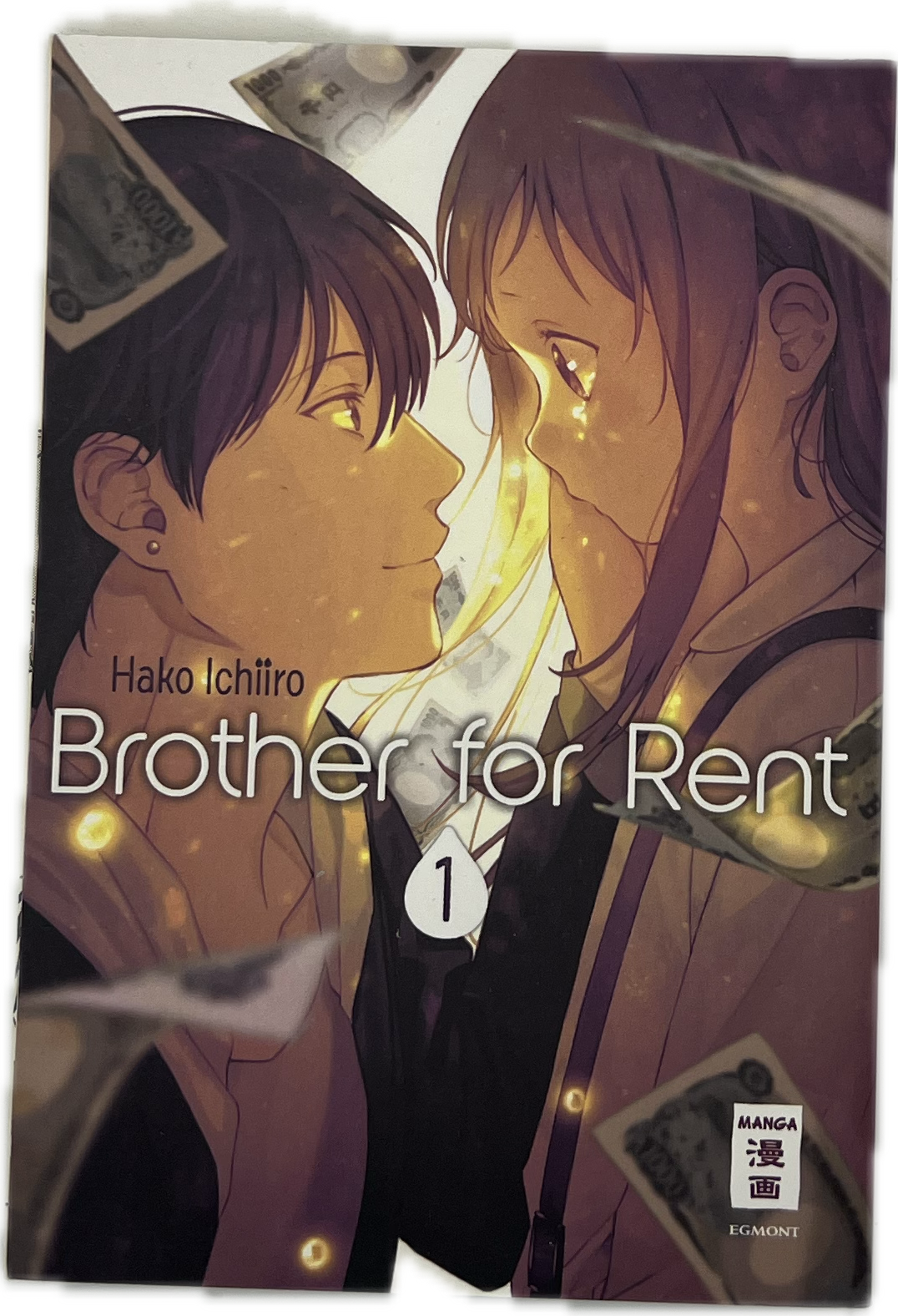 Brother for Rent 01
