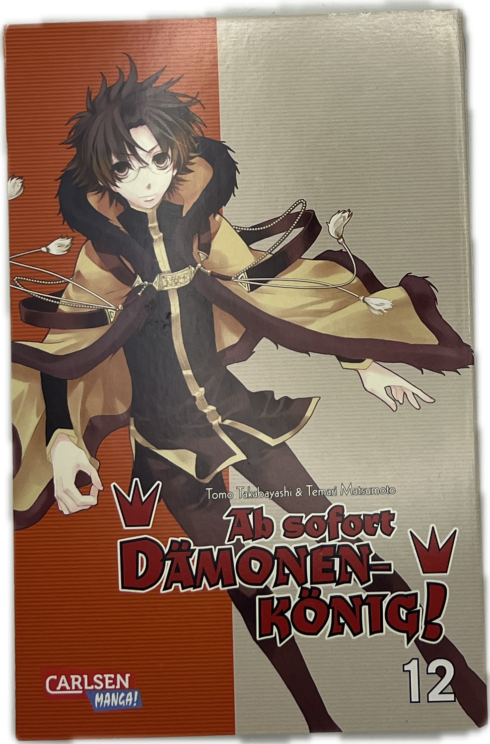 Demon King from now on! 12