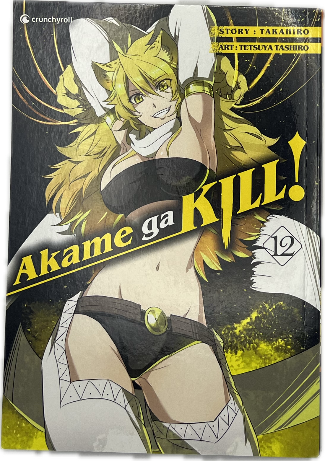 Akame Ga Kill 14