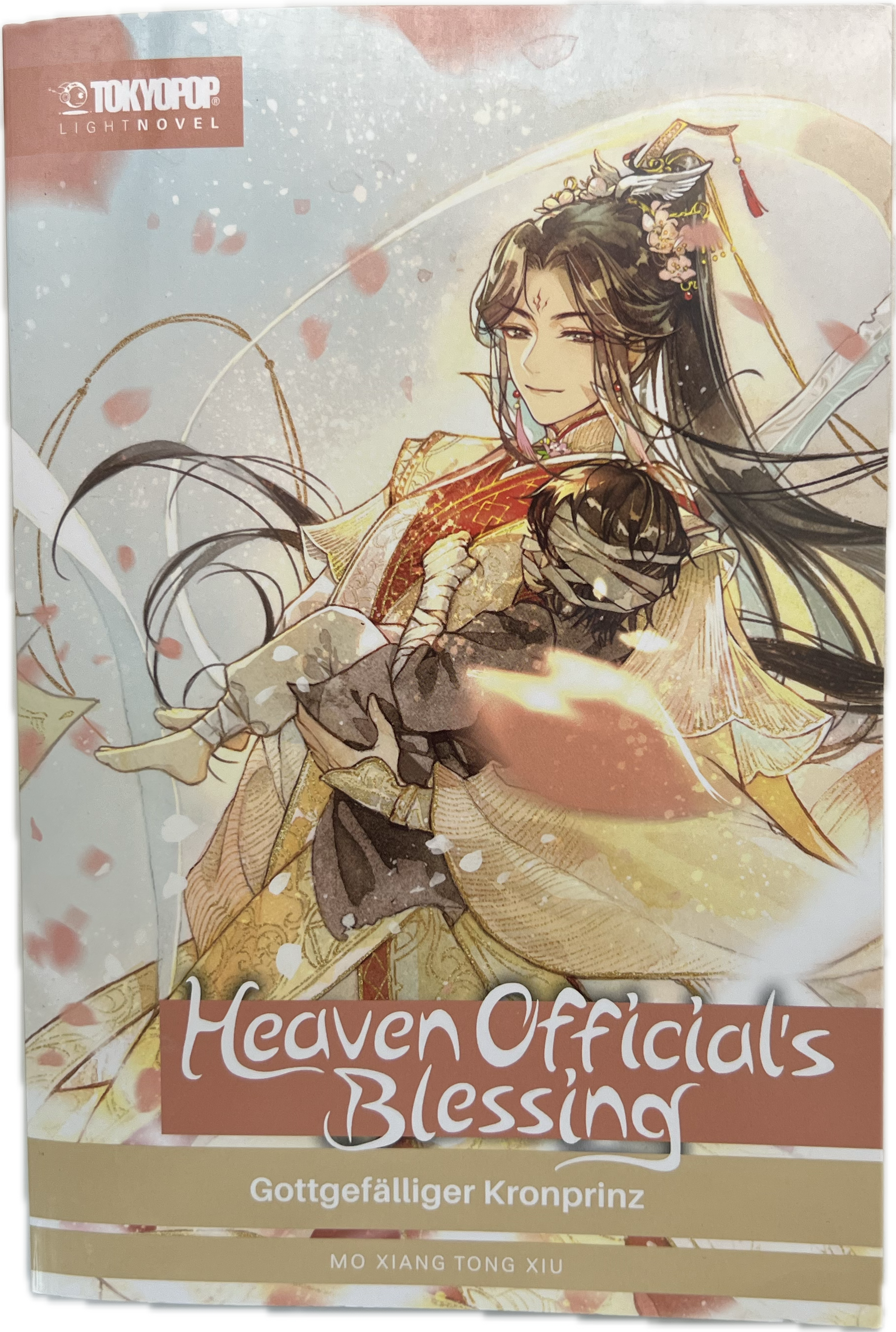 Heaven Official's Blessing Novel 02