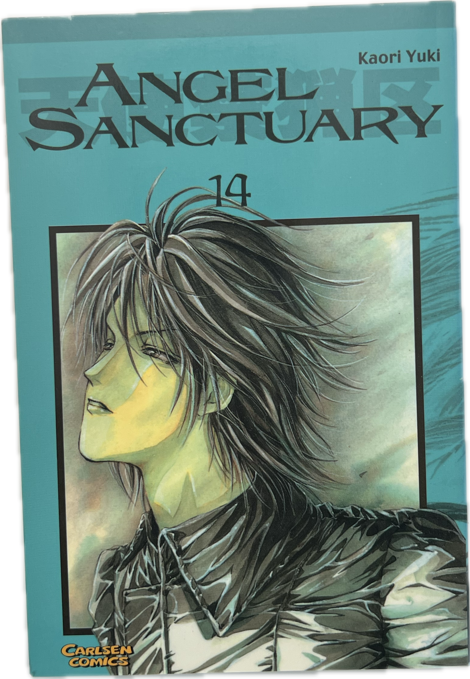 Angel Sanctuary 14