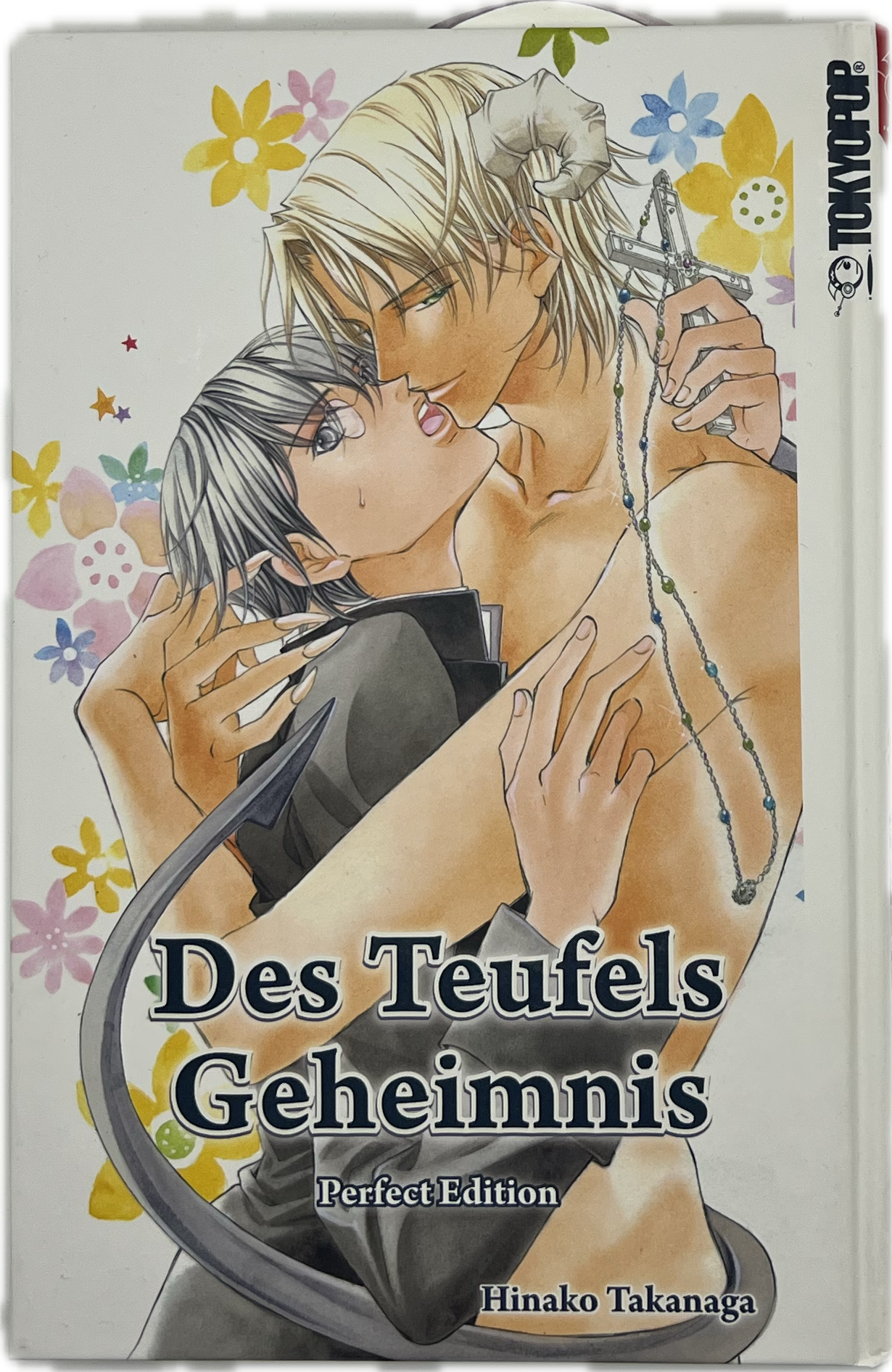 The Devil's Secret Perfect Edition