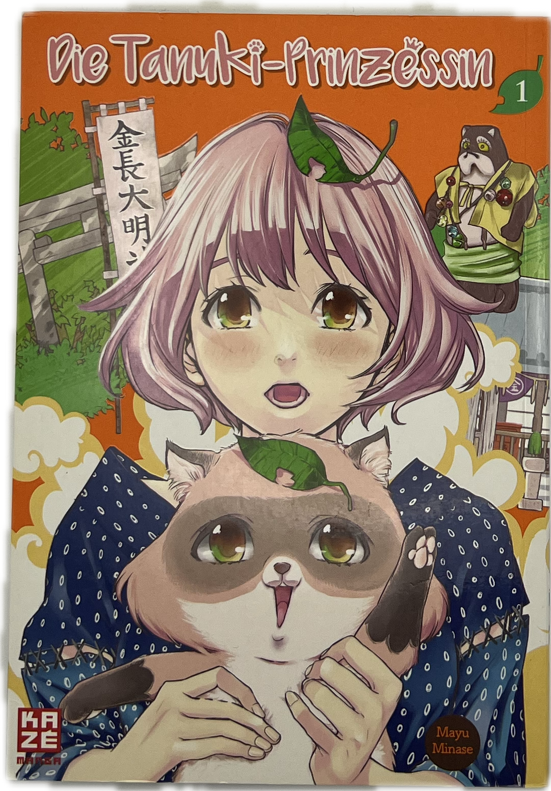 The Tanuki Princess 01